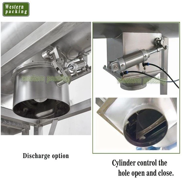 Spiral Ribbon Mixer