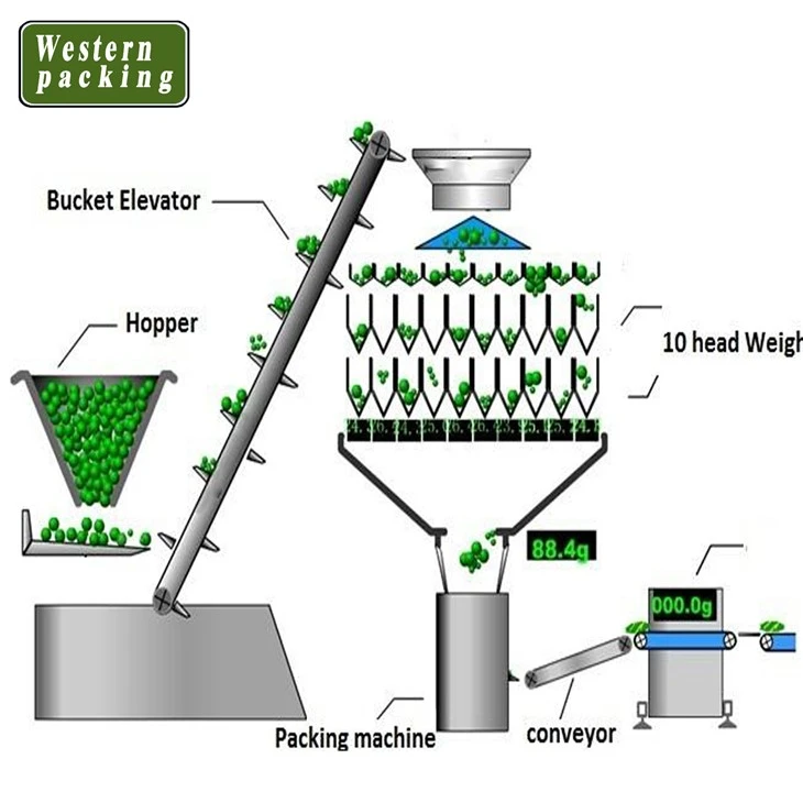 gusset pouch packing machine