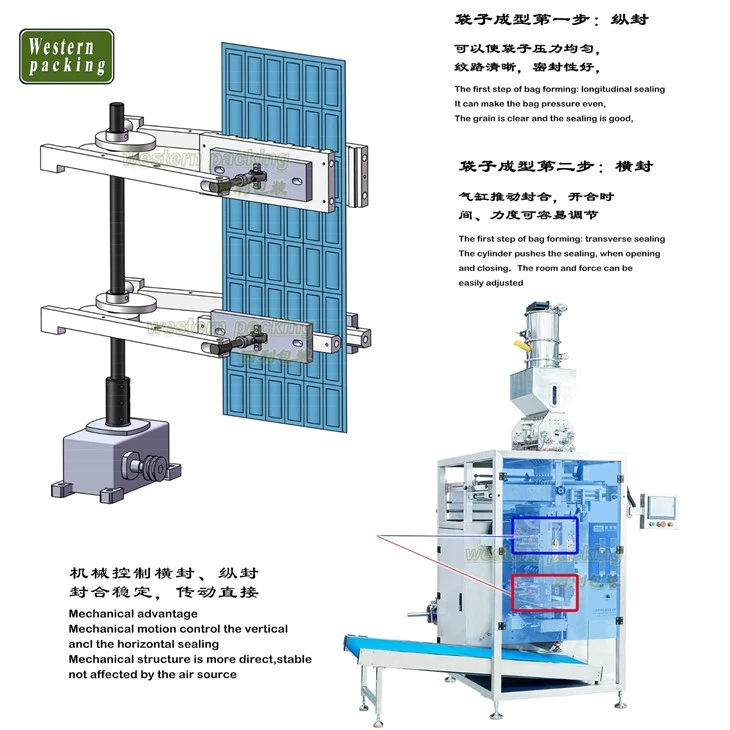 salt packing machine